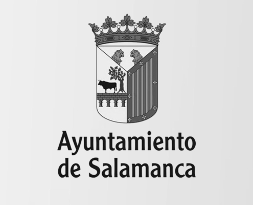 Idimad 360 Agencia de Marketing Digital y Tecnología Ayuntamiento de Salamanca