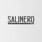 Idimad 360 Agencia de Marketing y Tecnología en Salamanca - Salinero abogados - Idimad 360