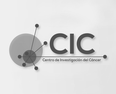Idimad 360 Agencia de Marketing y Tecnología en Salamanca - CIC Centro de Investigación del Cáncer - Idimad 360